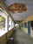 Sher and Salma's school